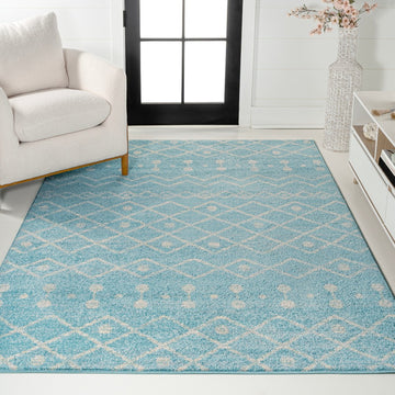 Aksil Moroccan Beni Souk Area Rug